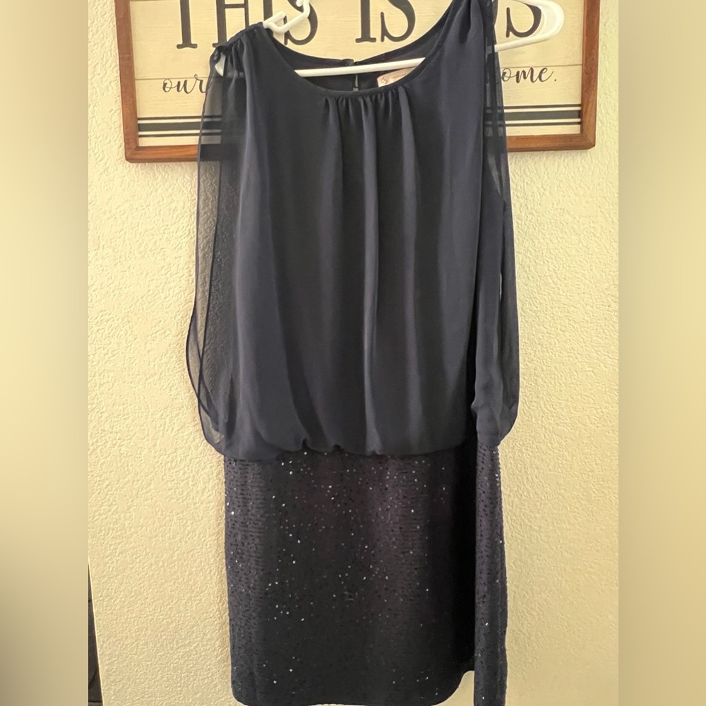 Blue Dress Barn Dress